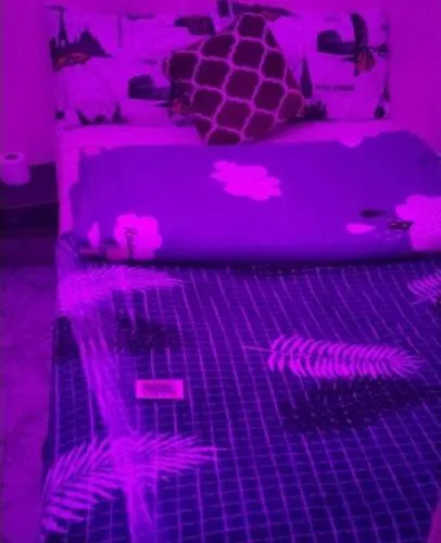 Wummies Place